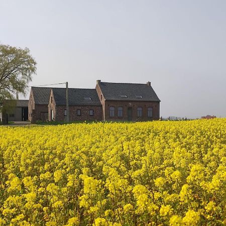 Spacious Holiday Home With Pond In Poperinge Roesbrugge-Haringe Exterior foto