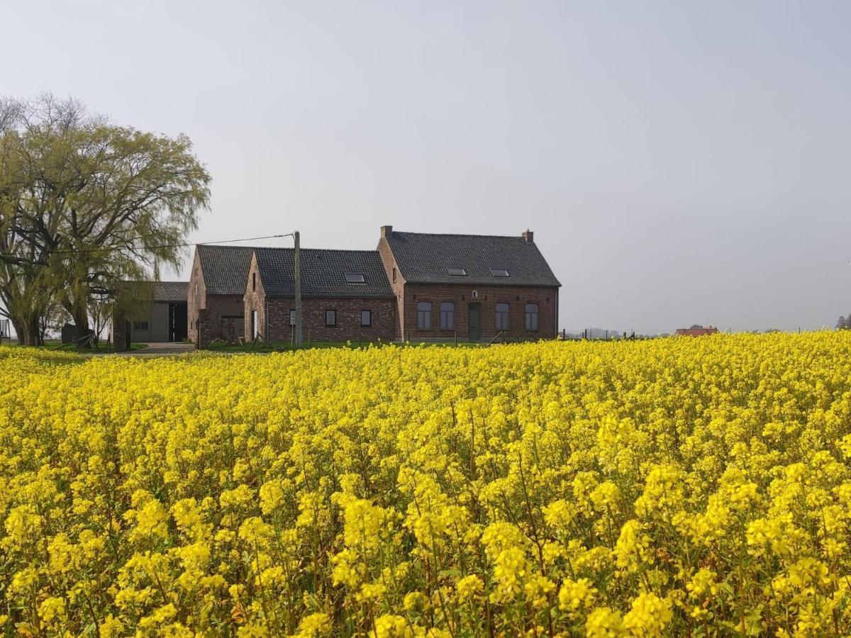 Spacious Holiday Home With Pond In Poperinge Roesbrugge-Haringe Exterior foto